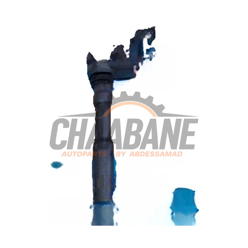 Broche bobine R1702C00200 Audi S3 (8V1/8VK) 2.0 T FSI 16V 2012 / 2017