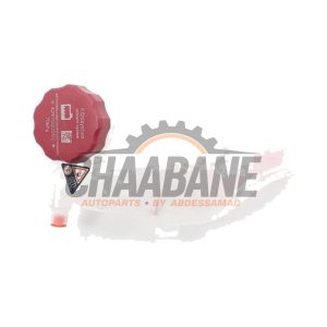 Vase dexpansion A2975000800 Mercedes EQS SUV (X296) 450+ 108/118 kWh
