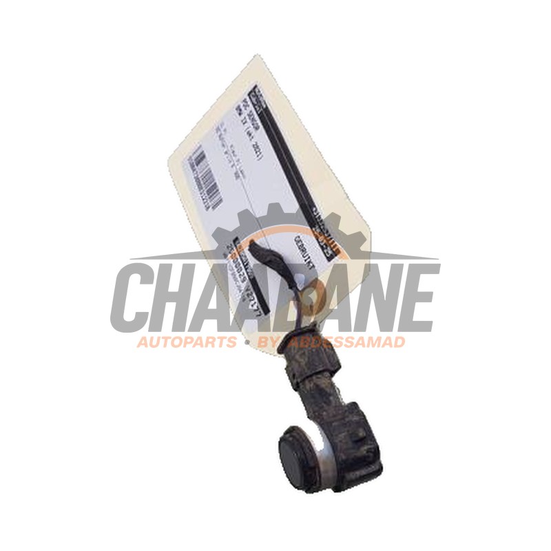 Capteur PDC 66205A17999 BMW iX (I20) xDrive40 77 kWh 2021