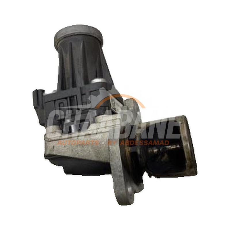 Valve RGE H8200129863 Mercedes Citan (415.7) 1.5 109 CDI Euro 6