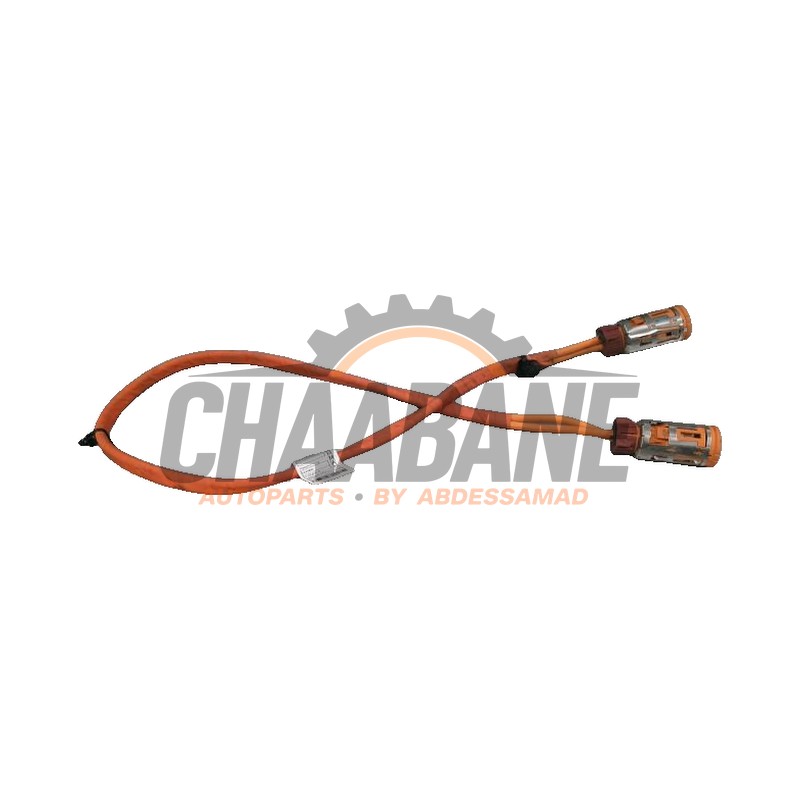 Cable haute tension 5A2DB59 BMW I4 2021