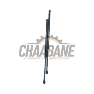 Verin de coffre 51247456042 BMW 1 serie (F40) 118i 1.5 TwinPower 12V 2019