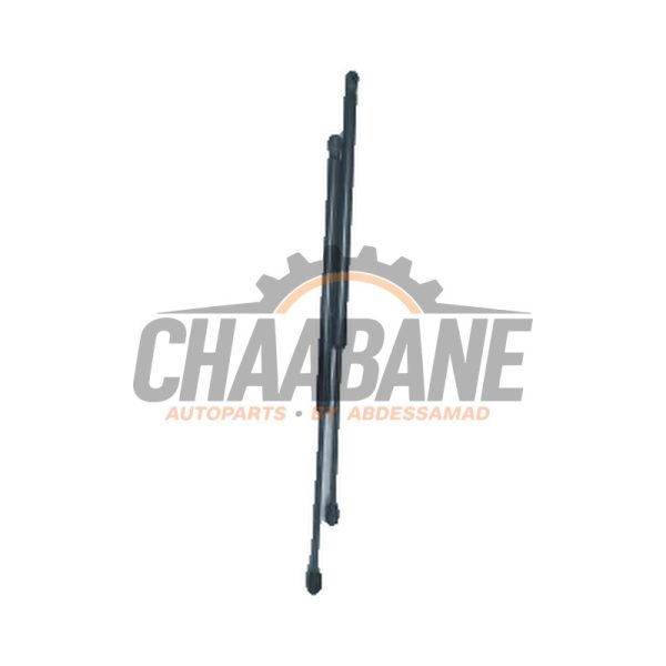 Kit amortisseur gaz hayon 51247456042 BMW 1 serie (F40) 118i 1.5 TwinPower 12V 2019
