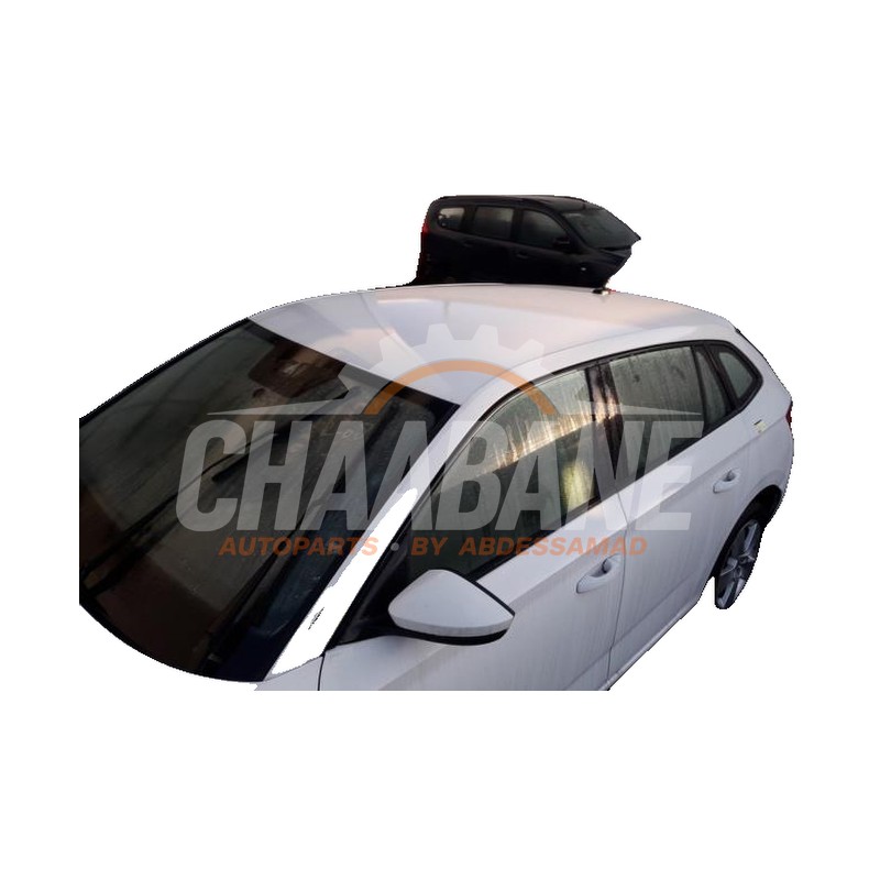 Toit Skoda Scala 1.0 TSI 110 2019