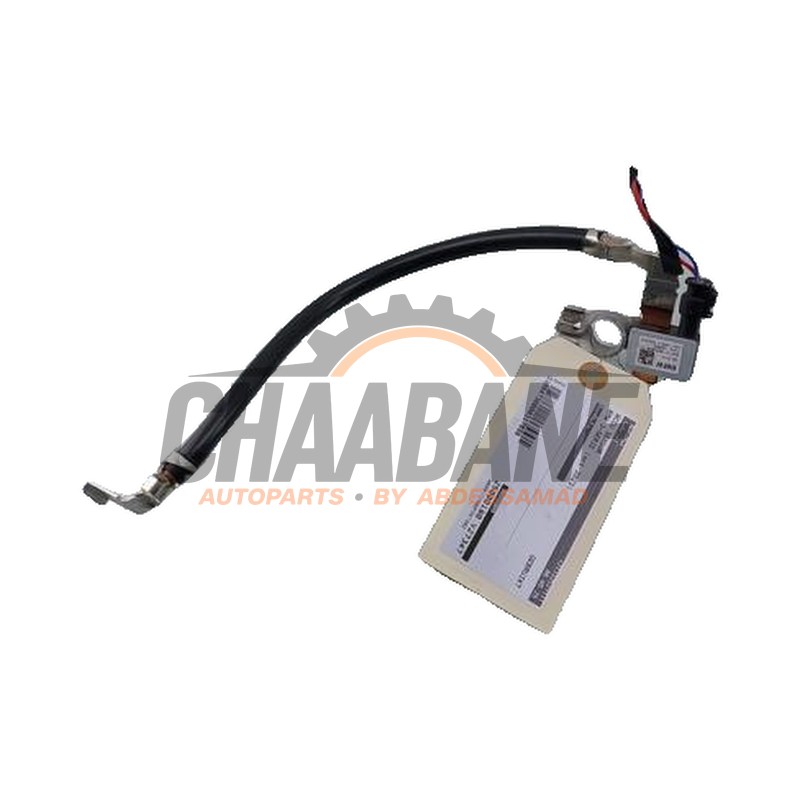 Capteur de batterie 9855909 BMW 3 serie Touring (G21) 330e 2.0 TwinPower Turbo 16V 2019