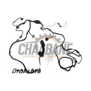 Faisceau de cables 6020640 BMW 7 serie (G11/12) 750d,Ld xDrive 24V 2015 / 2022