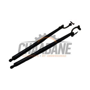 Verin de coffre 5FF827851 Cupra Formentor 2.0 TSI 16V 4Drive 2020