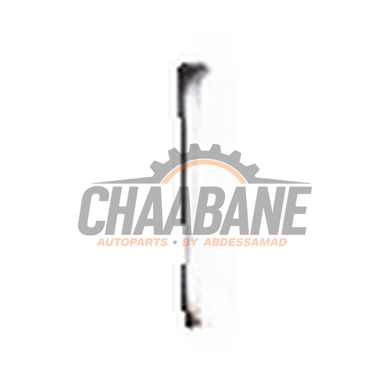 Bande decorative A2976802207 Mercedes EQE AMG SUV (X294) 53 AMG 4-Matic+