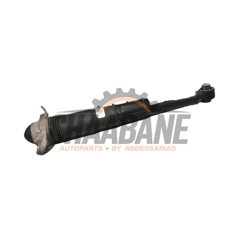 Amortisseur arriere droit 1EA512037Q Volkswagen ID.4 2020