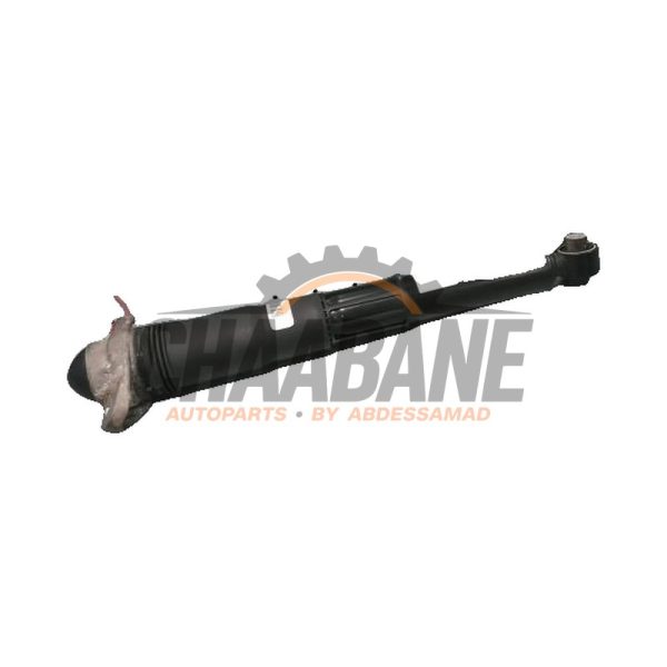 Amortisseur arriere gauche 1EA512037Q Volkswagen ID.4 2020