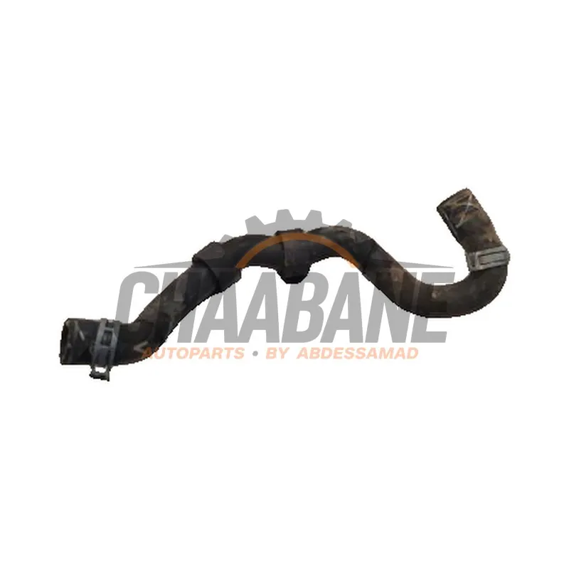 Tuyau radiateur Cupra Born 77 e-boost 2021 1EA121449J