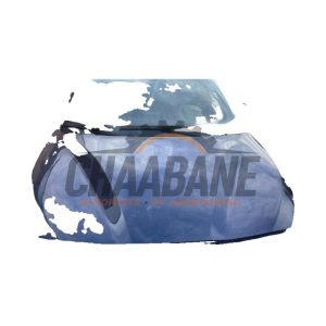 Capot 41117424742 BMW 2 serie Gran Tourer (F46) 2014