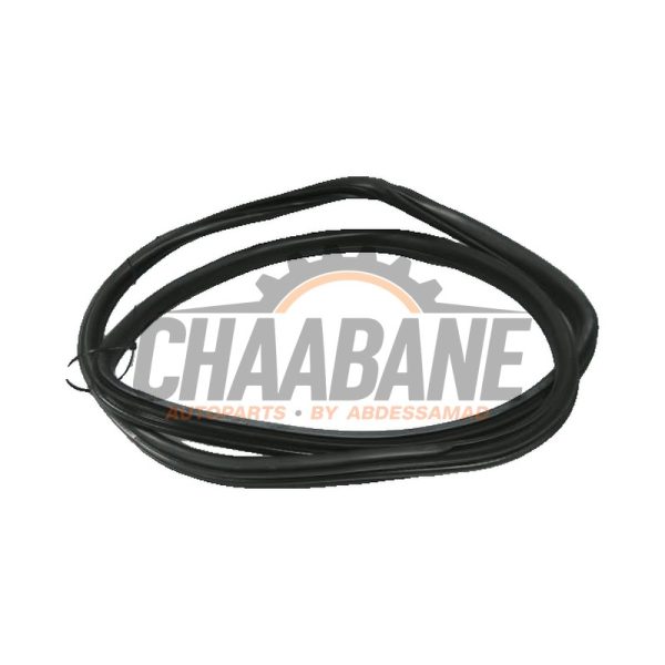Joint caoutchouc portiere 4portes arriere gauche 51227380934 BMW X4 2014 / 2018