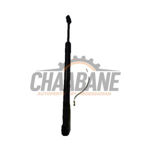 Amortisseur kit capot moteur BMW X6 2014 / 2019