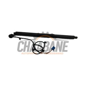 Amortisseur a gaz arriere droit A2478905600 Mercedes B (W247) 2.0 B-200d