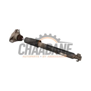 Amortisseur arriere gauche 80A513035L Audi Q5 2020