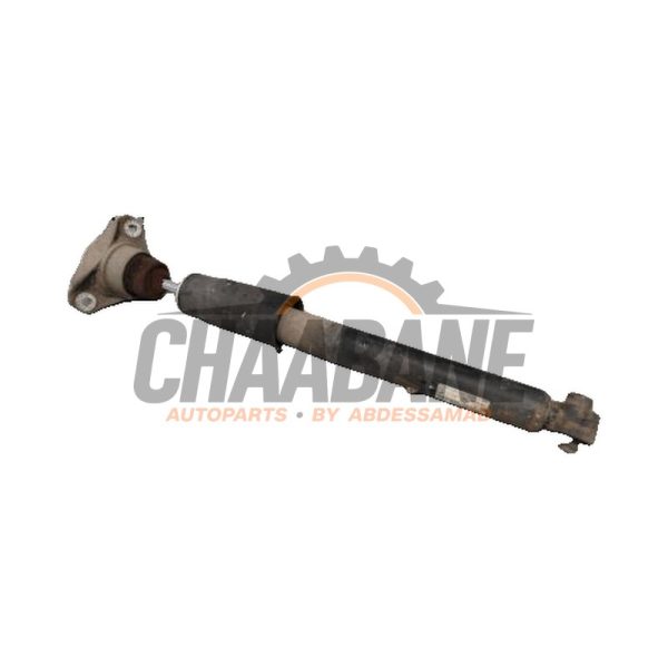Amortisseur arriere gauche 80A513035L Audi Q5 2020