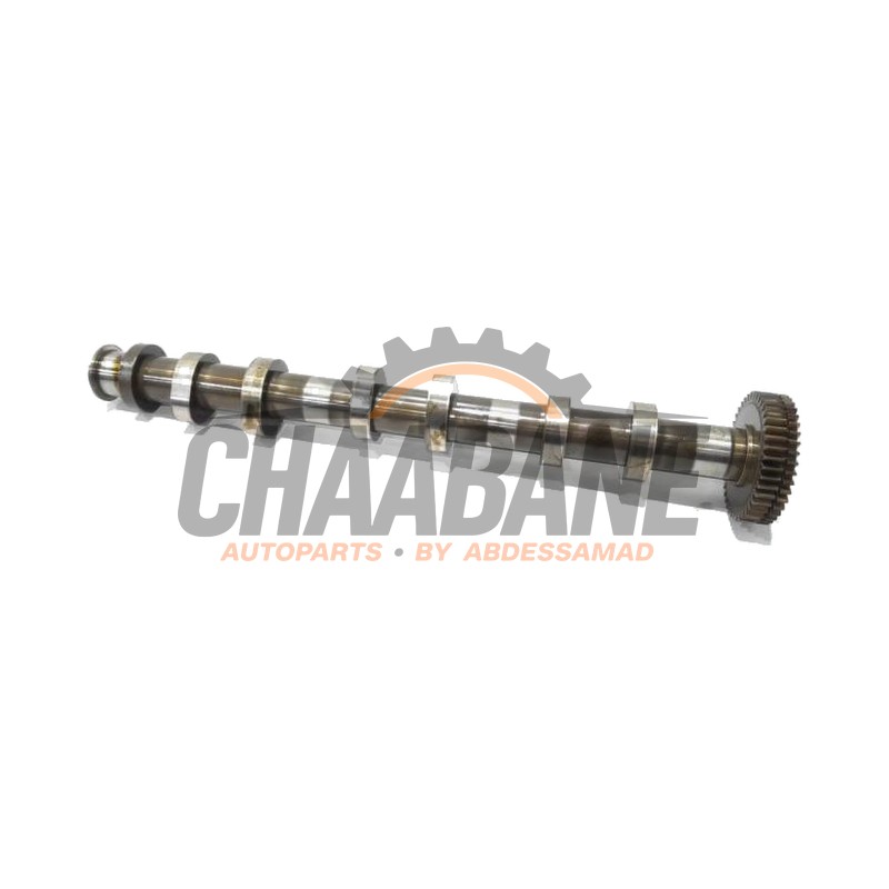 Arbre a cames 059109009DJ Audi SQ5 (8RB) 3.0 TDI V6 24V 2012 / 2017