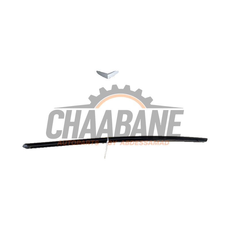 Bande decorative 5FA854328B Seat Leon Sportstourer (KLF) 1.5 TSI 16V 2020
