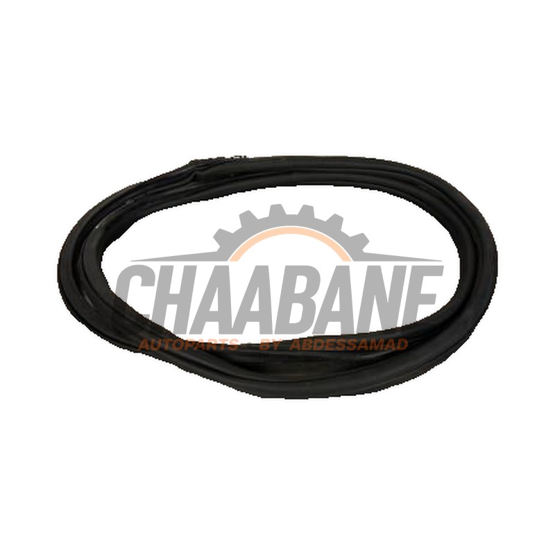 Joint caoutchouc portiere 2portes gauche 5H4867913 Volkswagen Golf VIII (CD1) 2.0 GTI Clubsport 16V 2019
