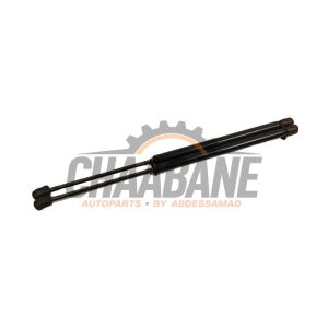 Kit amortisseur gaz hayon 5F4827550A Seat Leon 2012 / 2020