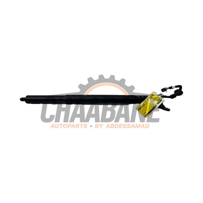 Amortisseur a gaz arriere droit 89E827851A Audi Q4 Sportback (4FN) 40 e-tron 2021