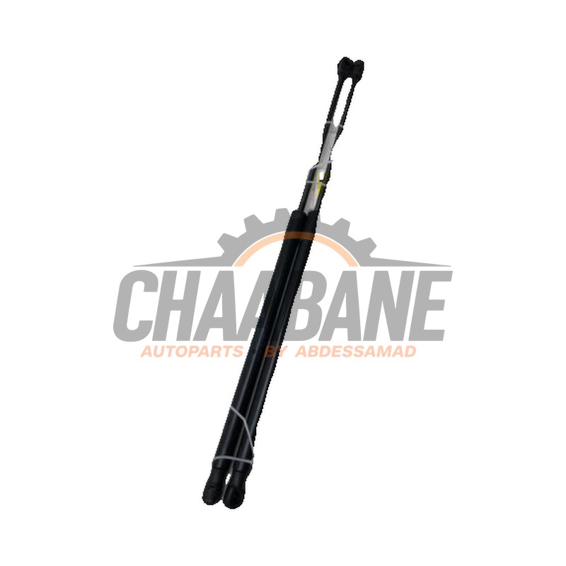 Verin de coffre 4479800564 Mercedes EQV 300