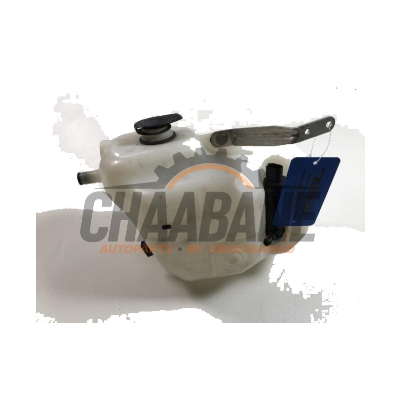Vase dexpansion 424955449 Audi R8 2015