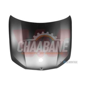 Capot 41007492375 BMW X5 (G05) xDrive 30d 3.0 24V 2018