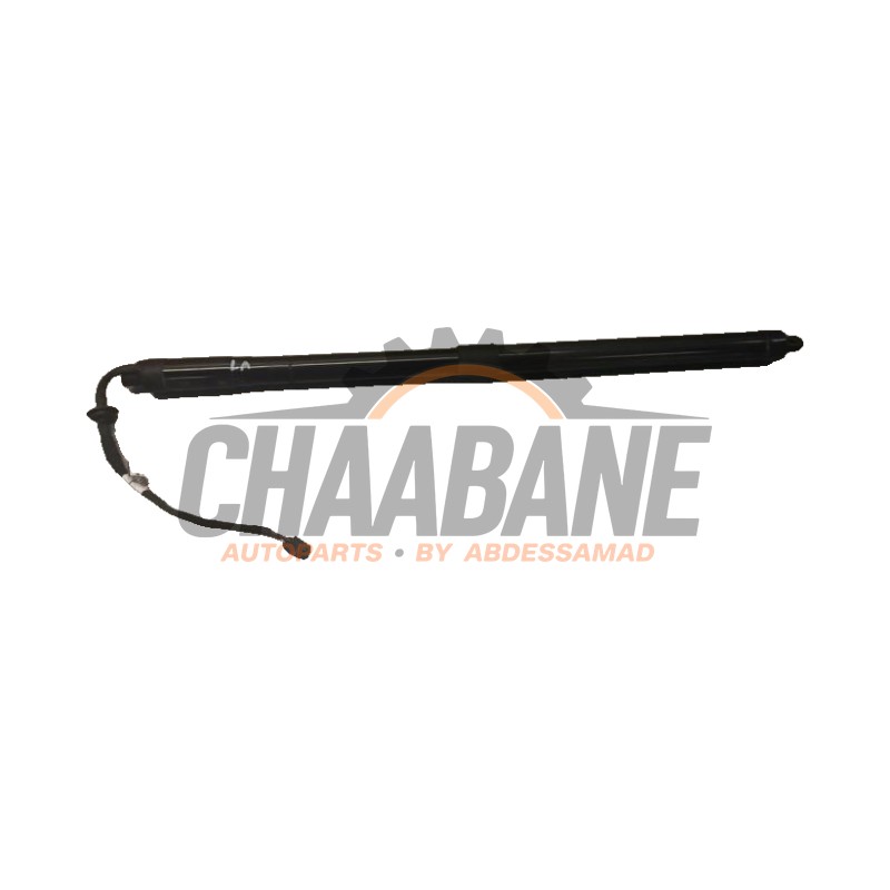 Amortisseur a gaz arriere gauche LR126173 Landrover Range Rover Sport (LW) 3.0 D250 MHEV