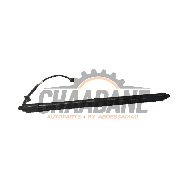 Amortisseur a gaz arriere droit LR126173 Landrover Range Rover Sport (LW) 3.0 D250 MHEV