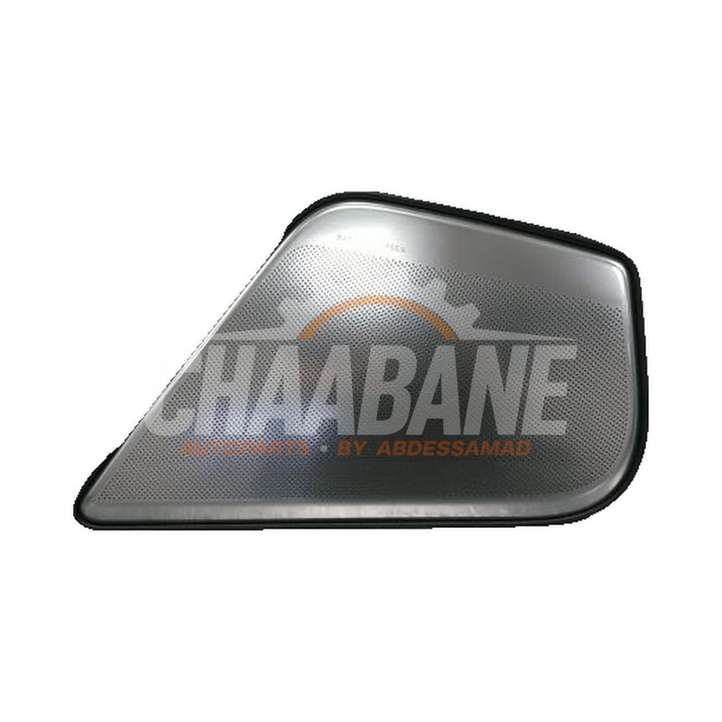 Bande decorative 4G0035419B Audi RS6 2013 / 2018