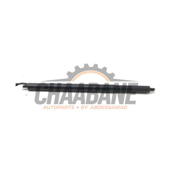 Amortisseur a gaz arriere droit 4ML827851F Lamborghini Urus 4.0 V8 2018