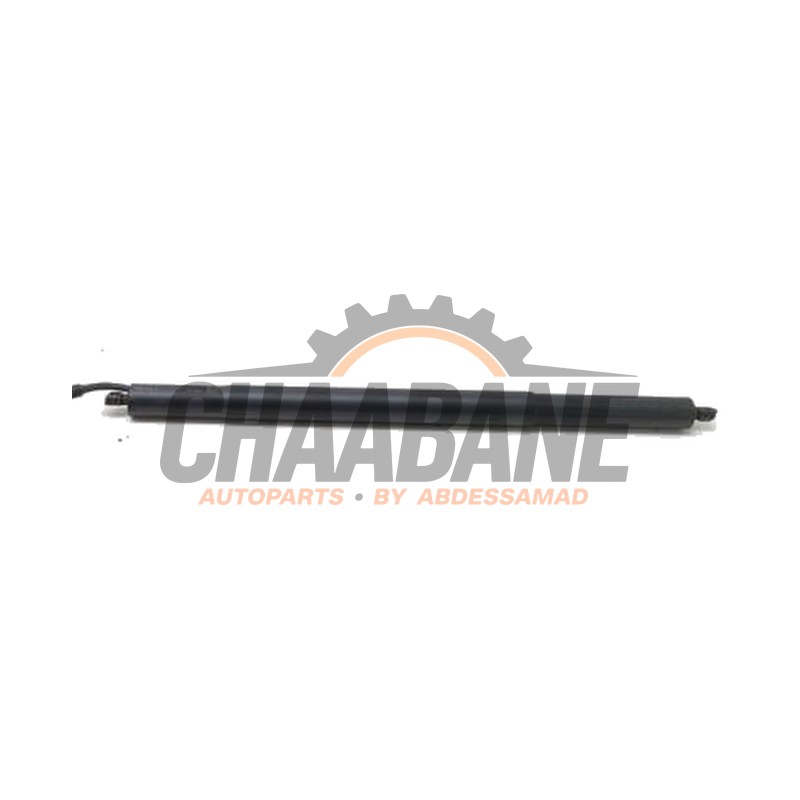 Amortisseur a gaz arriere droit 4ML827851F Lamborghini Urus 4.0 V8 2018