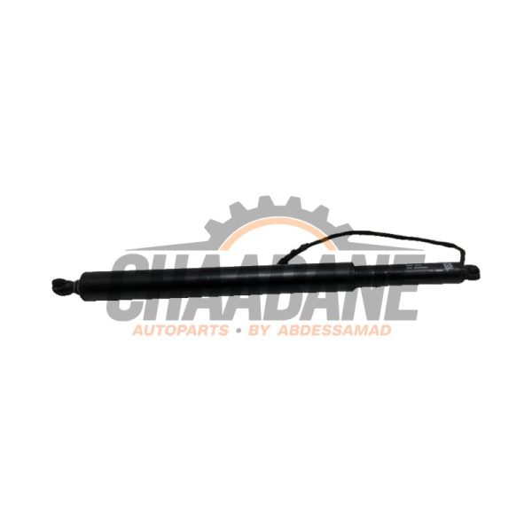 Amortisseur a gaz arriere droit 17893910 BMW iX (I20) xDrive40 77 kWh 2021