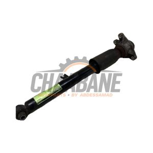 Amortisseur arriere droit 7568793 BMW 3 serie Touring (G21) 318i 2.0 TwinPower Turbo 16V 2019