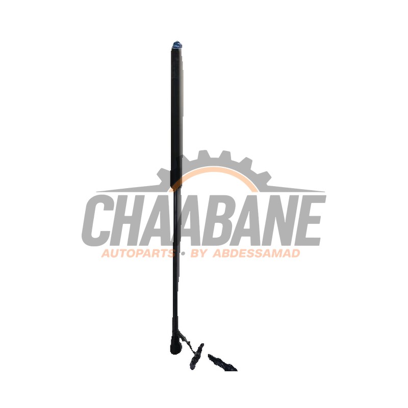 Amortisseur a gaz arriere gauche 7296775 BMW i3 (I01) i3s 120Ah 2013 / 2022