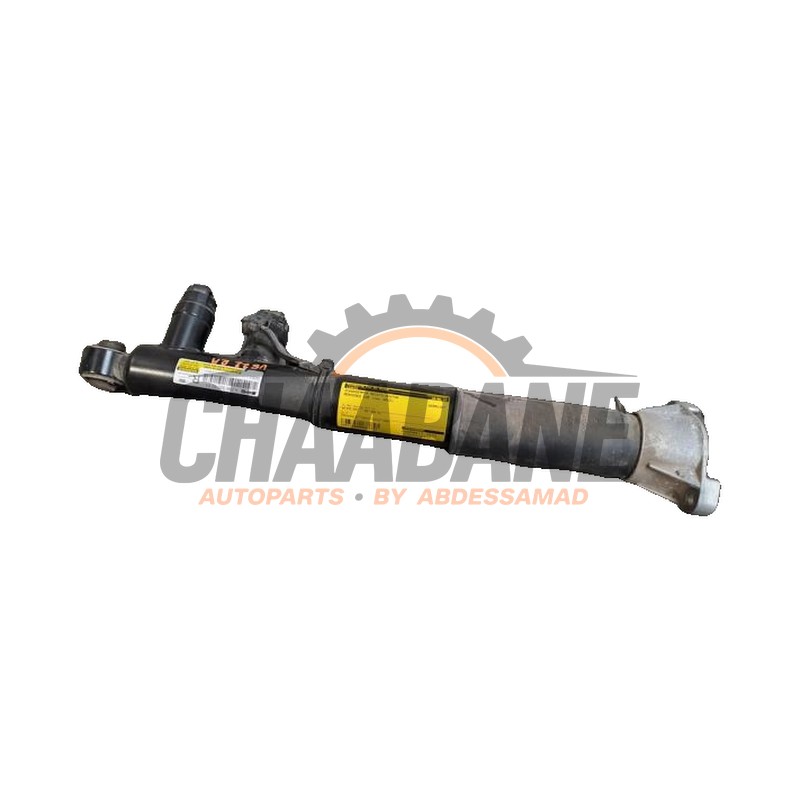 Amortisseur arriere droit A2943209201 Mercedes EQE AMG SUV (X294) 53 AMG 4-Matic+