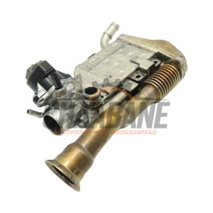 Valve RGE 65492080 Mercedes E (C238) E-220d 2.0 Turbo 16V