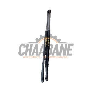 Verin de coffre 4318830880N Mercedes Vito Tourer (447.7) 2.2 114 CDI 16V