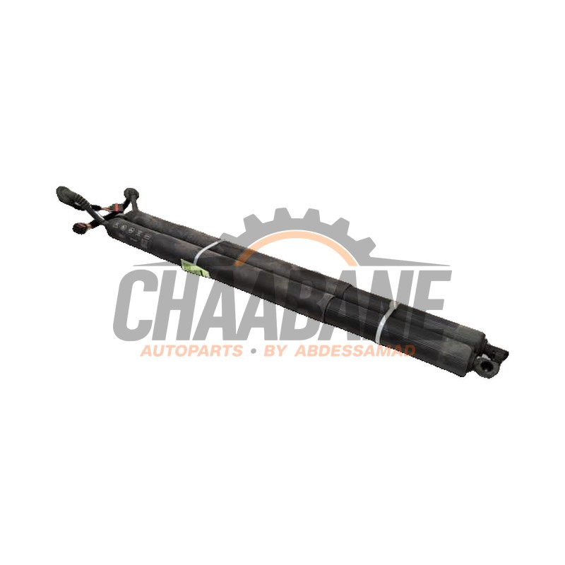 Kit amortisseur couvercle coffre 89E827851B Audi Q4 Sportback (4FN) 45 e-tron 82 kWh 2021