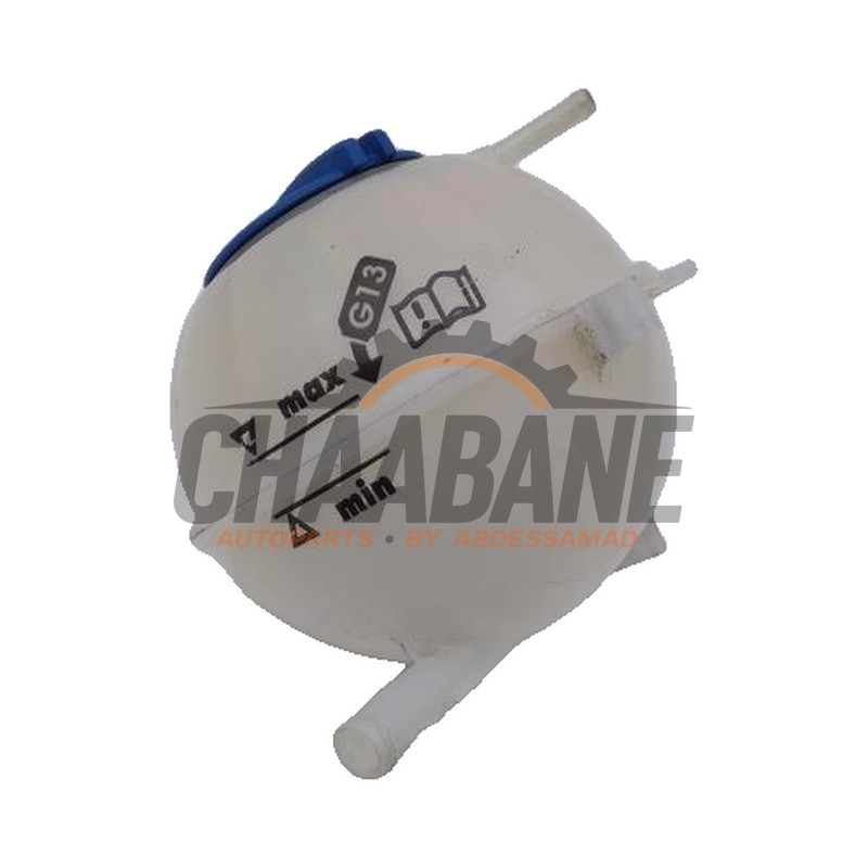 Vase dexpansion Skoda Fabia III (NJ3) 1.2 TSI 16V 2014 / 2021