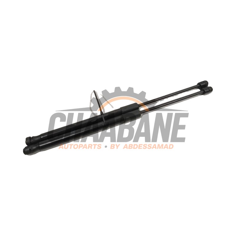 Amortisseur kit capot moteur 80A823359A Audi Q5 2016