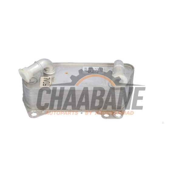 Radiateur dhuile 02E409061D Volkswagen Arteon Shooting Brake (3HAC) 2.0 TDI 16V 2020
