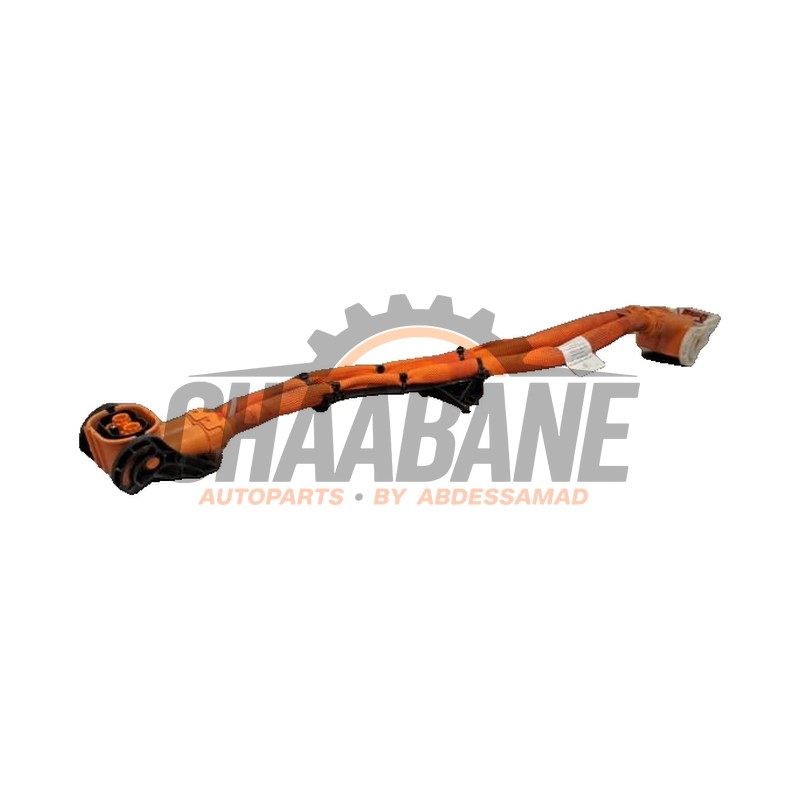 Cable haute tension 9J1971131A Porsche Taycan Sport Turismo (Y1C) 79 kWh 2021