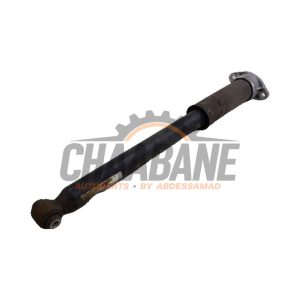 Amortisseur arriere gauche A2133201030 Mercedes E (W213) E-220d 2.0 Turbo 16V