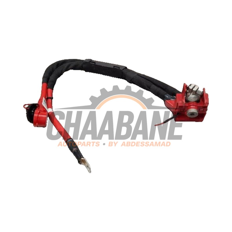Borne de batterie BMW iX (I20) xDrive M60 2021