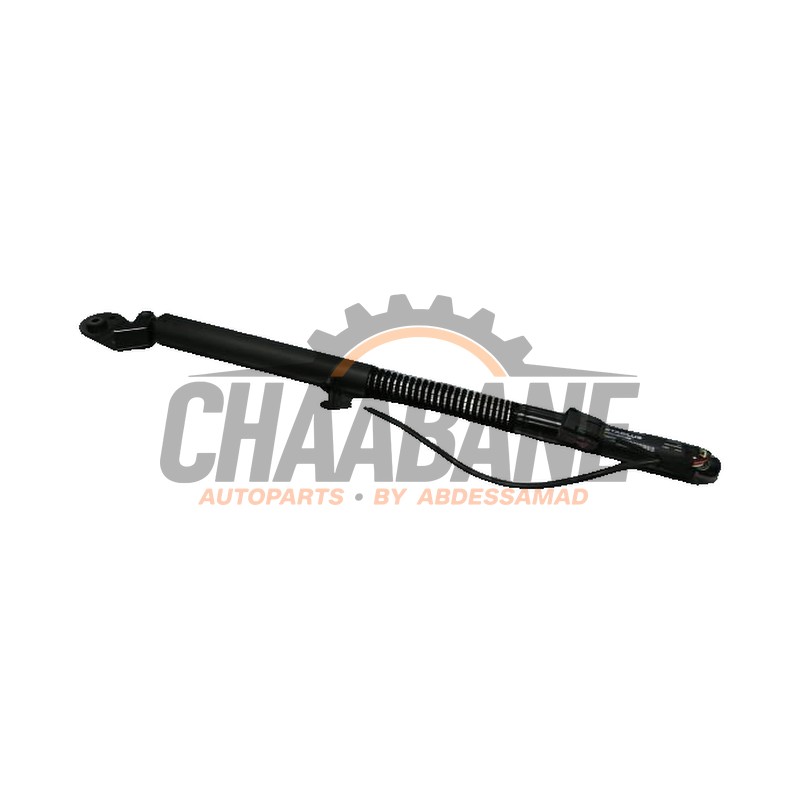 Amortisseur a gaz arriere droit 4G8827852F Audi RS7 2013 / 2018