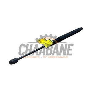 Amortisseur kit capot moteur A2139800164 Mercedes E (W213) E-200d 2.0 Turbo 16V
