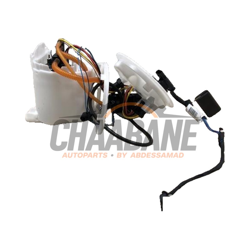 Pompe carburant electrique 16115A0C253 BMW 5 serie (G60) 530e 2.0 TwinPower Turbo 16V 2023